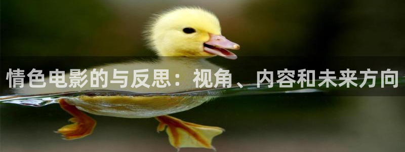 缘分天空12集全：情色电影的与反思：视角、内容和未来方向