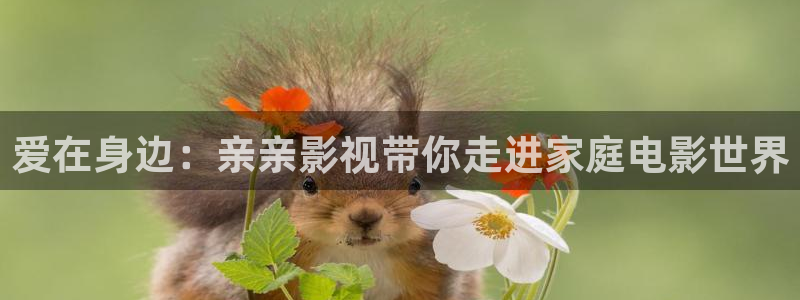 天空在线看免费观看完整版：爱在身边：亲亲影视带你走进家庭电影世界