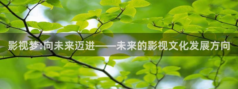孩子们的天空舞蹈视频：影视梦:向未来迈进——未来的影视文化发展方向