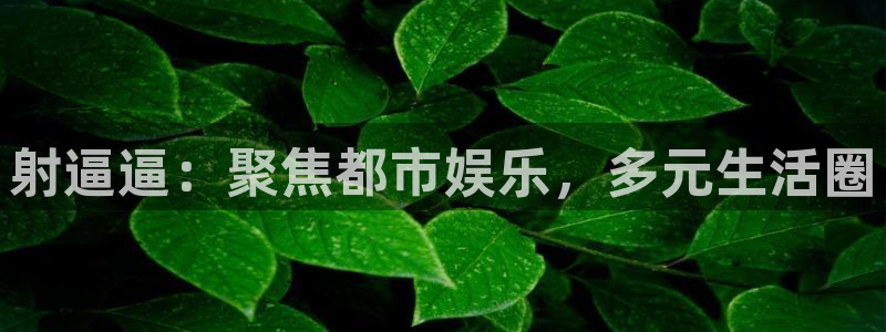 软天空旧版怎么下载：射逼逼：聚焦都市娱乐，多元生活圈