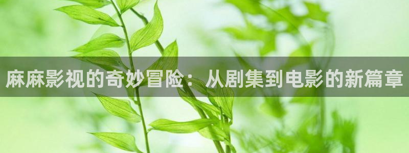 天空影视电视剧：麻麻影视的奇妙冒险：从剧集到电影的新篇章