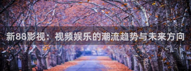 缘分的天空动漫免费看：新88影视：视频娱乐的潮流趋势与未来方向