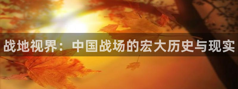 热血街区天空的尽头在线观看：战地视界：中国战场的宏大历史与现实